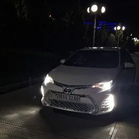 Toyota Corolla 2019