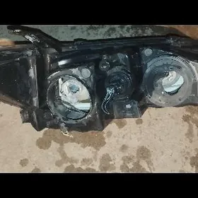 Azyada kemdin farasy