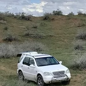 Mercedes-Benz ML55 AMG 1999