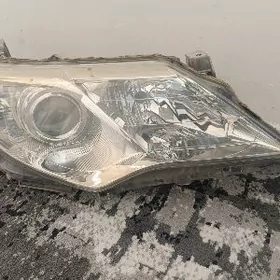 Palta Orginal fara XLE