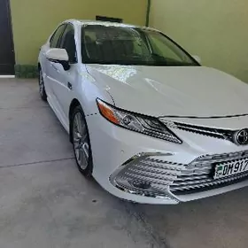 Toyota Camry 2023