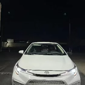 Toyota Corolla 2021