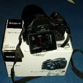 SONY HX 300