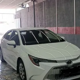 Toyota Corolla 2022