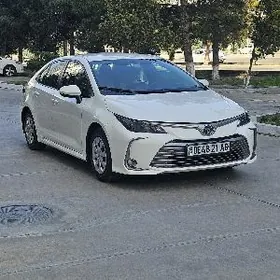 Toyota Corolla 2024