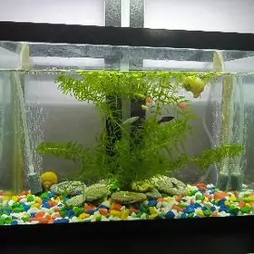 Akwarium 12 litr