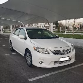 Toyota Corolla 2011