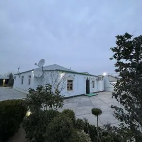 satlyk Bekrewe 8 sotak