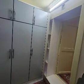 SATLYK SROCNA 6MIKRAYON