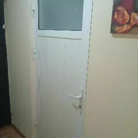 пластиковые двери