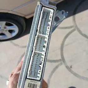 kompiuter 2.2 kemri 99 lisicge