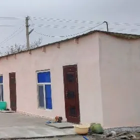 Büzmeýin krug arenda