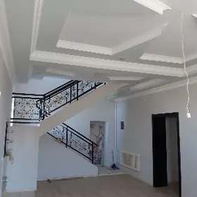 Elitka kici 2 Etaj  jay