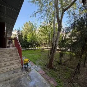 Гаудан А От хозяина