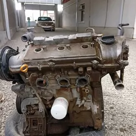 tayota duty kemry diwitel vivi