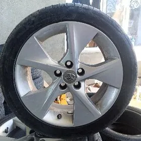 Palata ýaprak diska