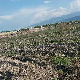 мивелы..2..гекдар