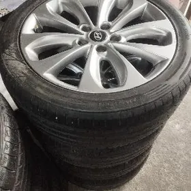 Hunday diska pakryska