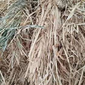 мал  от               mal   ot