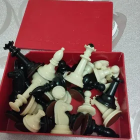 диск Грация