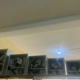 Wentilyator Witiçkalary