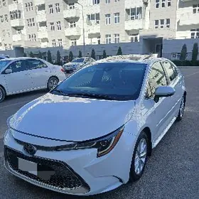 Toyota Corolla 2022