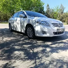 Toyota Corolla 2010