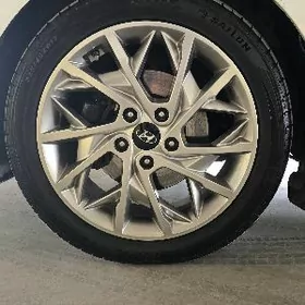 elntra 17 limted diska