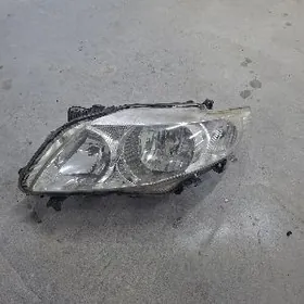 Karola fara 2010 Haliji