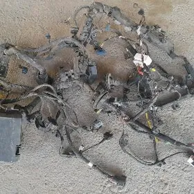 tok enjamlary toplum