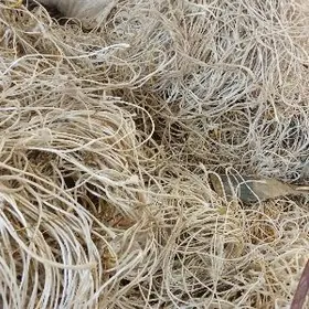 igar gyz gelin gerek