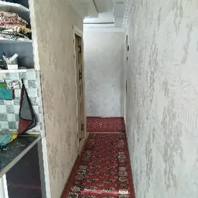 Satlyk jay eŷesinen