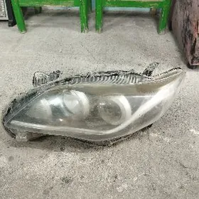 2011.12 Karolla fara.