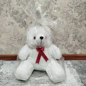 ЗАЯЦ НОВЫЙ TOWŞAN TÄZE