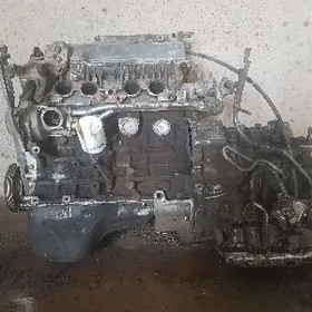 Karona mator karopka