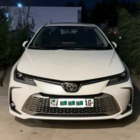 Toyota Corolla 2024