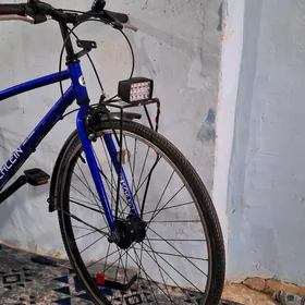 tigir ÿaposka birişton