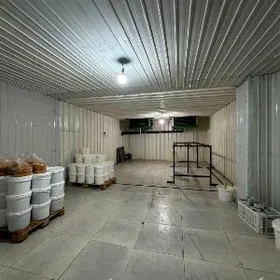 SATLYK 1,5 -GEKTAR ONUMCYLYK .