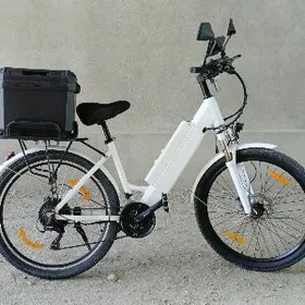 Tokly tigir smakat skuter