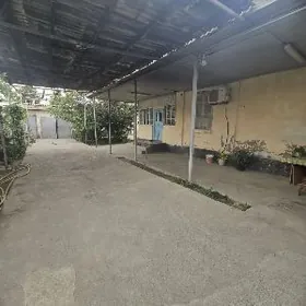 Хитровка Hitrowka Satlyk Plan