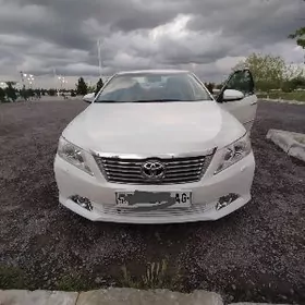 Toyota Aurion 2013