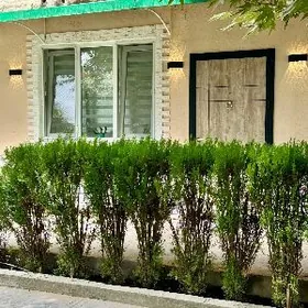 5-Mkr. 3-Komnat. Kwartira