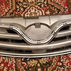 carolla haliji abilsowka 12