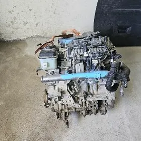 Genesisin matory 2023 y zapjas