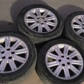 17 lik limited disga pokryşga