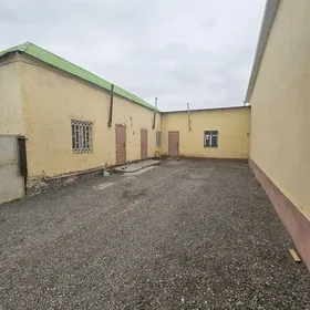 Çoganly plan 4,3 sotok