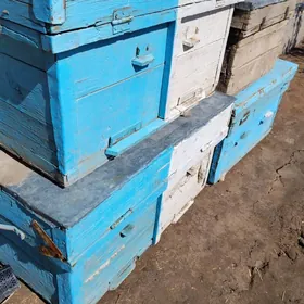 болари яшиклар