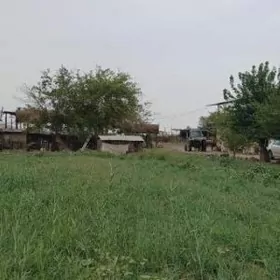 SATLYK 5-GEKTAR MULK YERY.