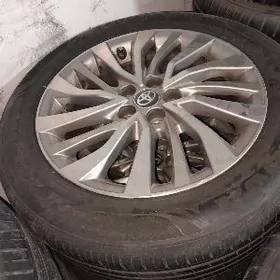 2022carolla orgynal argentum