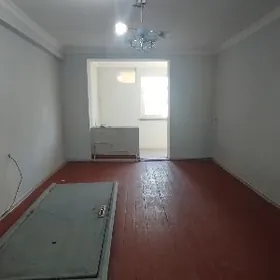 Buzmeyin Tomatny Satlyk 3kom